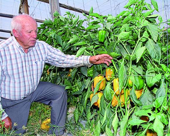 Cauto optimismo en la toma de empleados de abril a junio Cauto optimismo en la toma de empleados de abril a junio
