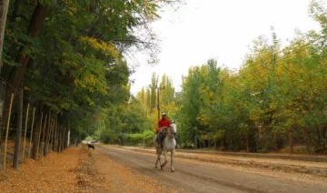 Bella Vista, el paraíso que eligen por su paz y belleza Bella Vista, el paraíso que eligen por su paz y belleza