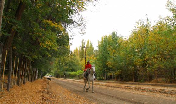 Bella Vista, el paraíso que eligen por su paz y belleza Bella Vista, el paraíso que eligen por su paz y belleza