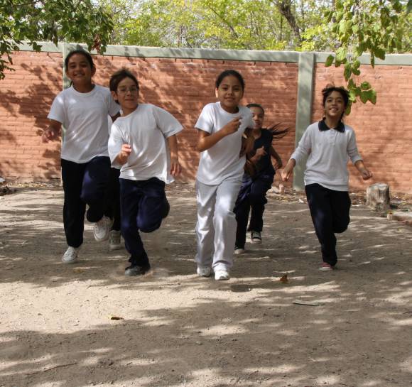 Piden arena para poder practicar salto en largo Piden arena para poder practicar salto en largo