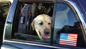 Estuvo 17 meses perdido Estuvo 17 meses perdido