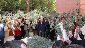 Una multitud llegó a la Catedral para la bendición de Ramos Una multitud llegó a la Catedral para la bendición de Ramos