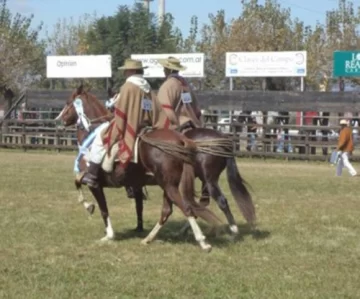Andariego Niño Rey vino con un premio de Salta Andariego Niño Rey vino con un premio de Salta