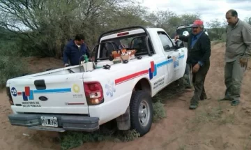 Fumigación en Encón Fumigación en Encón