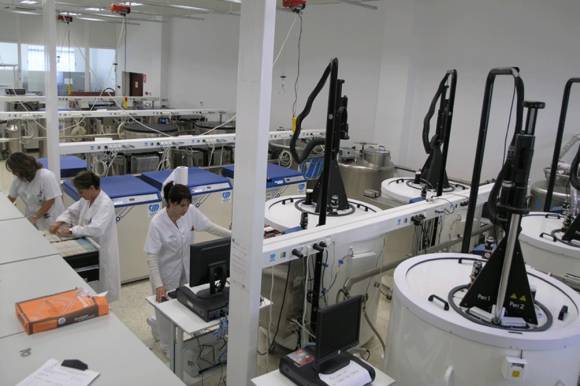 Prohíben el uso público de bancos de cordón umbilical Prohíben el uso público de bancos de cordón umbilical