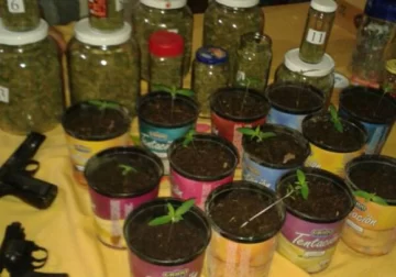 Cayó con 2 armas y marihuana Cayó con 2 armas y marihuana