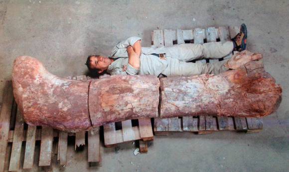 Los restos del mayor dinosaurio del mundo Los restos del mayor dinosaurio del mundo