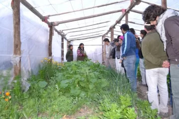 Producción agroecológica, un modelo alternativo al dominante Producción agroecológica, un modelo alternativo al dominante