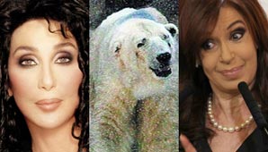 Cher le pidió a CFK que haga algo por el oso polar Arturo Cher le pidió a CFK que haga algo por el oso polar Arturo