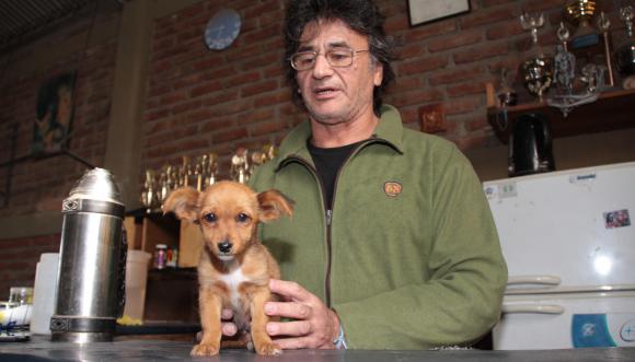 Le buscan familia al perrito que rescataron de un pozo Le buscan familia al perrito que rescataron de un pozo