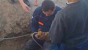 Rescataron a un perrito que cayó en un pozo de diez metros Rescataron a un perrito que cayó en un pozo de diez metros