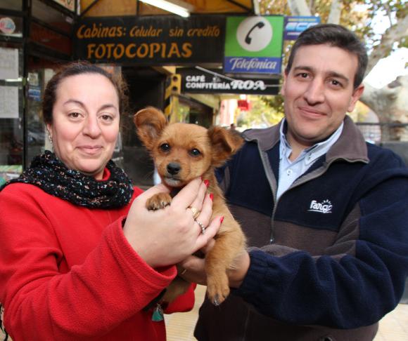 El perro ya tiene dueños y ahora le buscan un nombre El perro ya tiene dueños y ahora le buscan un nombre