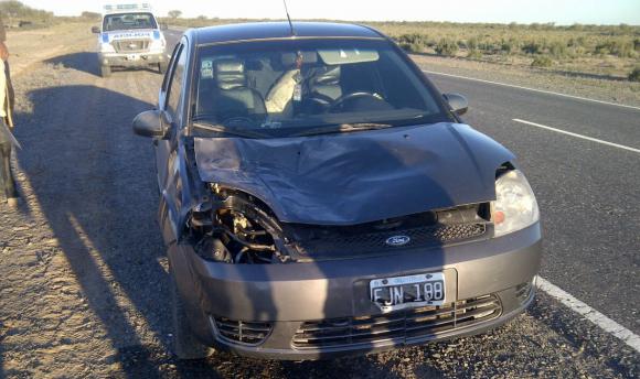 Chocó con un animal suelto Chocó con un animal suelto