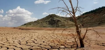 Un flagelo para revertir Un flagelo para revertir