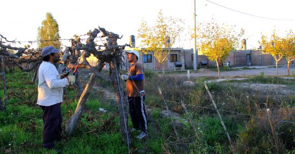 Expulsión chacarera obligada del oasis Expulsión chacarera obligada del oasis