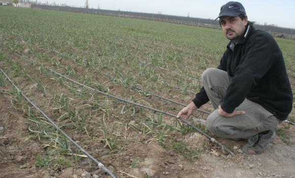 Agricultores: nuevos créditos para riego a tasa subsidiada Agricultores: nuevos créditos para riego a tasa subsidiada