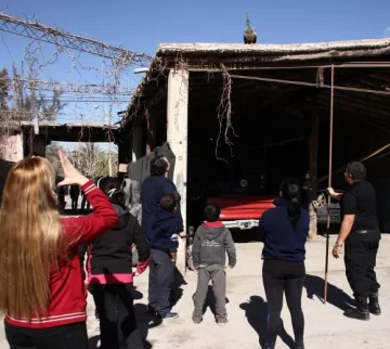 El rescate de un pavo real conmocionó a un vecindario El rescate de un pavo real conmocionó a un vecindario