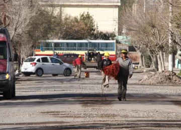 Se quejan porque hace tres meses no pasan los micros Se quejan porque hace tres meses no pasan los micros