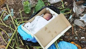 Encuentran a un bebé en la calle y lo salvan del ataque de perros Encuentran a un bebé en la calle y lo salvan del ataque de perros