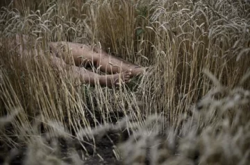 El día que llovían cuerpos El día que llovían cuerpos