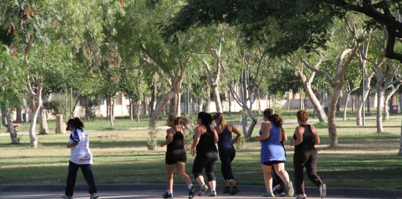 Un parque tan grande como el de Rawson, en 9 de Julio Un parque tan grande como el de Rawson, en 9 de Julio