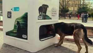 Crean máquinas para alimentar a perros y gatos de la calle Crean máquinas para alimentar a perros y gatos de la calle
