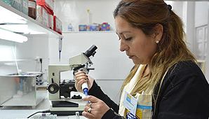 Santa Fe: evacuaron 100 familias capitalinas por crecida del Paraná Santa Fe: evacuaron 100 familias capitalinas por crecida del Paraná