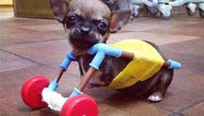 Emoción en la web Emoción en la web