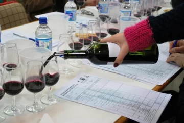 En la evaluación de la cosecha el Malbec sigue sacando mejor nota En la evaluación de la cosecha el Malbec sigue sacando mejor nota