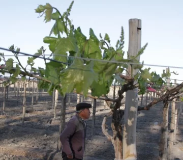 Invitan a 8 mil científicos a resolver ejes productivos Invitan a 8 mil científicos a resolver ejes productivos
