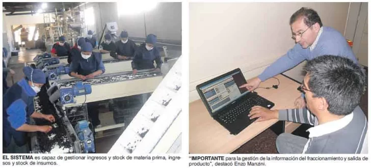 San Juan ya tiene un software para “trazar” la pasa de uva San Juan ya tiene un software para “trazar” la pasa de uva