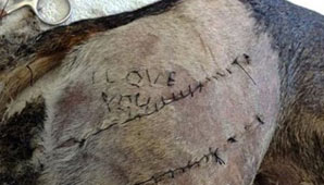 ¿Acto de amor o crueldad? ¿Acto de amor o crueldad?