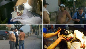 Un hombre ató a su perro a un auto y lo arrastró hasta matarlo Un hombre ató a su perro a un auto y lo arrastró hasta matarlo