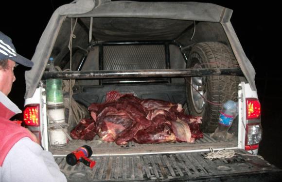 Atraparon a dos cazadores de guanacos Atraparon a dos cazadores de guanacos