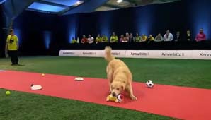 Algo inquieto Algo inquieto