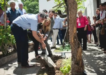 Buscan que la pasa de uva suba a los aviones Buscan que la pasa de uva suba a los aviones