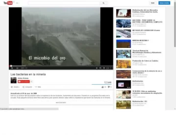 Las bacterias en la minería Las bacterias en la minería