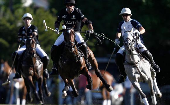 La Dolfina, por duplicado La Dolfina, por duplicado