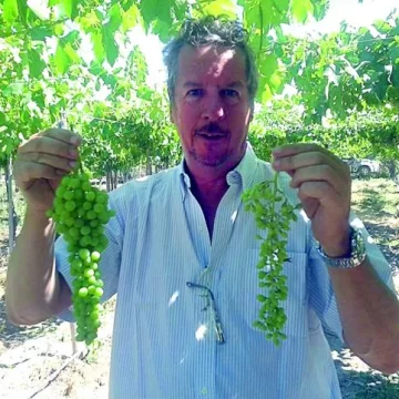 “Los errores de los viveros perjudican a los productores” “Los errores de los viveros perjudican a los productores”