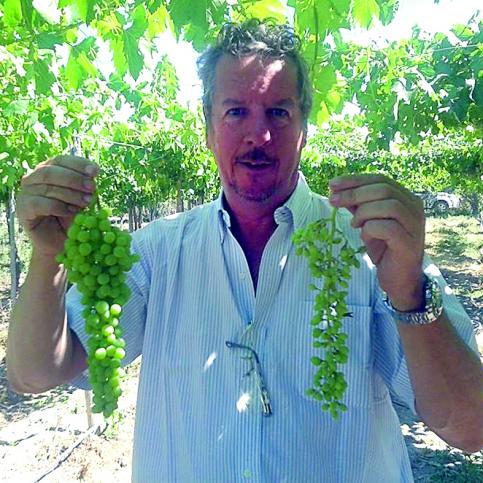 “Los errores de los viveros perjudican a los productores” “Los errores de los viveros perjudican a los productores”