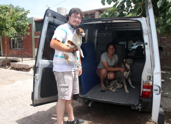 Los remiseros de mascotas Los remiseros de mascotas