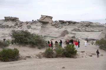 Una licitación clave para la telefonía celular en el Valle Una licitación clave para la telefonía celular en el Valle