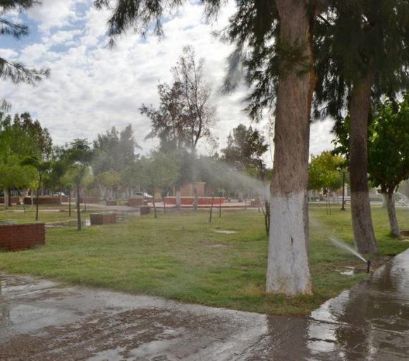 Nuevo sistema de riego Nuevo sistema de riego