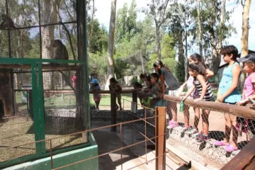 Un paseo en el que monos y pumas fueron la atracción Un paseo en el que monos y pumas fueron la atracción