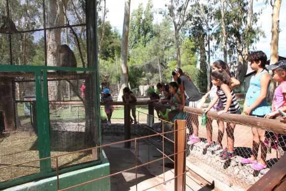Un paseo en el que monos y pumas fueron la atracción Un paseo en el que monos y pumas fueron la atracción