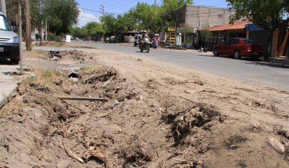 Sacan los árboles secos Sacan los árboles secos