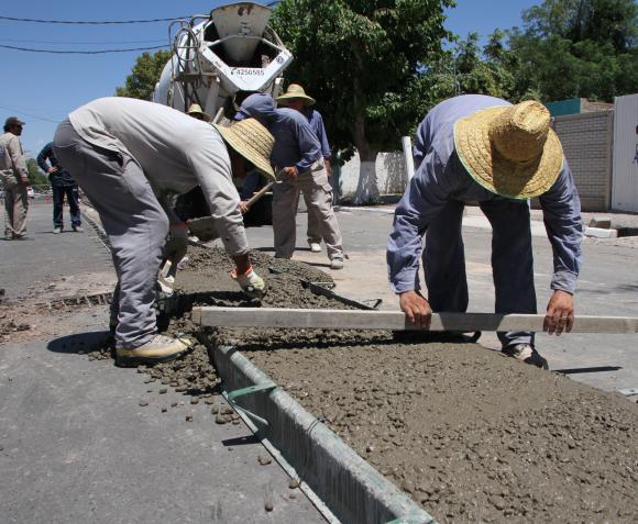 Inauguran la avenida con un bulevar de eucaliptos Inauguran la avenida con un bulevar de eucaliptos