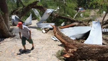 Dique Avalos: el viento arrasó más de 50 árboles Dique Avalos: el viento arrasó más de 50 árboles