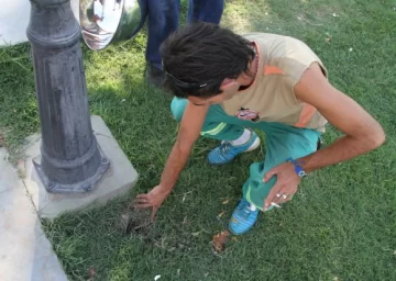 Por el vandalismo hay veinte espacios verdes destruidos Por el vandalismo hay veinte espacios verdes destruidos