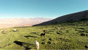 El Cruce, desde el cielo El Cruce, desde el cielo